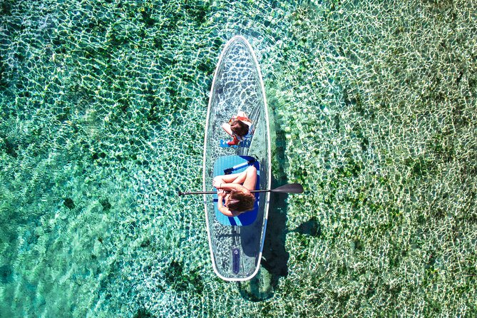 Silver Springs: Clear Kayak Wildlife Adventure - Customer Feedback and Ratings