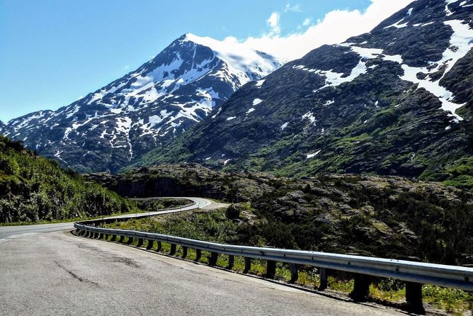 Skagway Shore Excursion: Half-Day Tour to the Yukon Border and Suspension Bridge - Exploring the Yukon Suspension Bridge