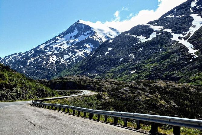 Skagway Shore Excursion: White Pass Summit and Skagway City Tour - Experiencing the Coastal Rainforest Landscapes