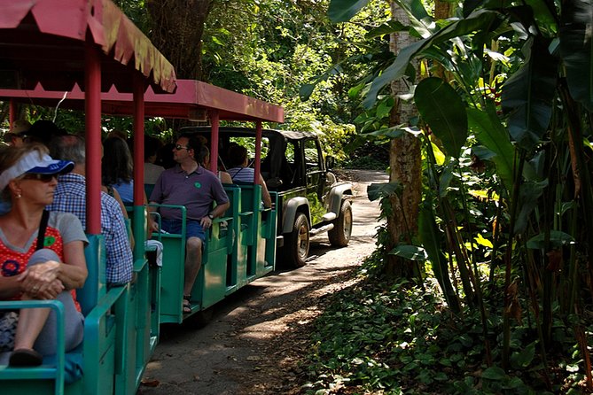 Skip the Line: Flamingo Gardens Admission Ticket in Fort Lauderdale - Directions and Operational Information