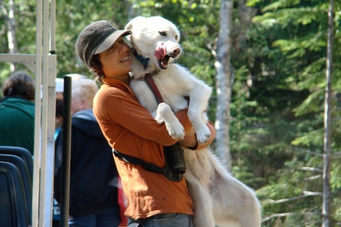 Sled Dog Adventure in Skagway - Customer Reviews and Feedback