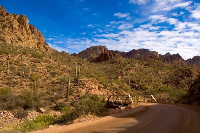 Small Group Apache Trail Day Tour With Dolly Steamboat From Phoenix - Cruising Canyon Lake on the Dolly Steamboat