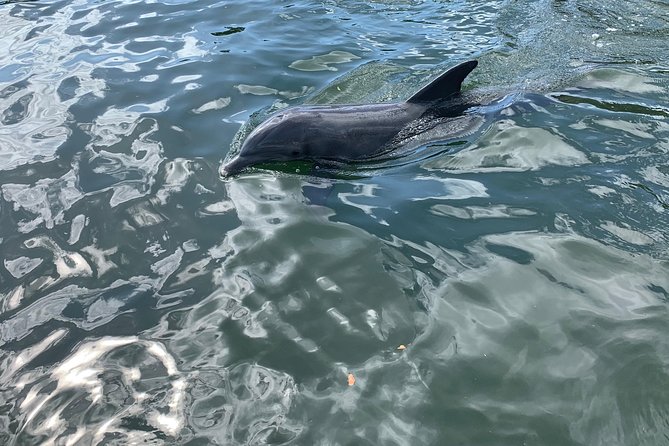 Small Group Florida Keys Eco Tour by Boat - Customer Reviews and Feedback