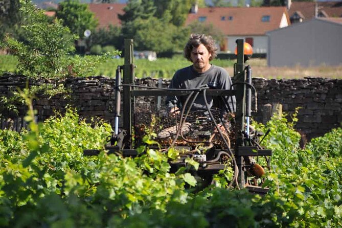Small-Group Full-Day Tour of Côte De Nuits, Côte De Beaune Vineyards and Beaune Historical District - Accessibility and Additional Info