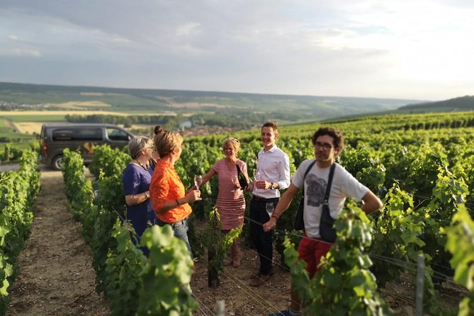 Small Group - Half Day Champagne Tour - Visit of 2 Small Producers/Growers - The Champagne Tasting Experience
