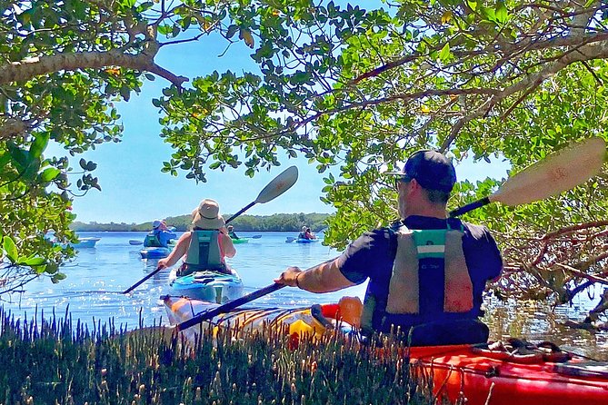 Small Group Kayak Tour of the Shell Key Preserve - Kayaking Across Shallow Seagrass Meadows