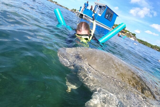 Small Group Manatee Snorkel Tour With In-Water Guide and Photographer - Customer Reviews and Experiences