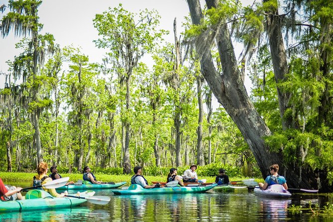 Small-Group Manchac Swamp Kayak Tour With Local Guide - Preparing for the Tour