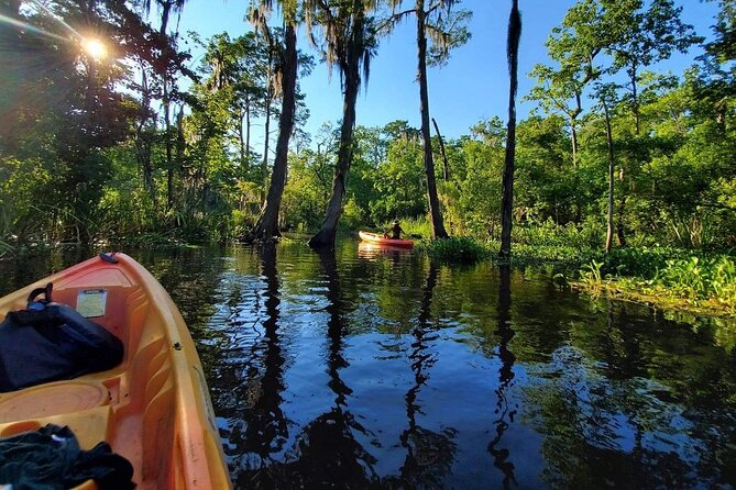 Small-Group Manchac Swamp Kayak Tour - Customer Reviews
