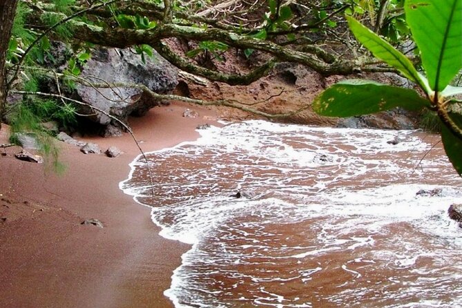 Small Group Road to HāNa Tour 6 to 8 Passengers - Discovering Lush Landscapes and Ocean Views