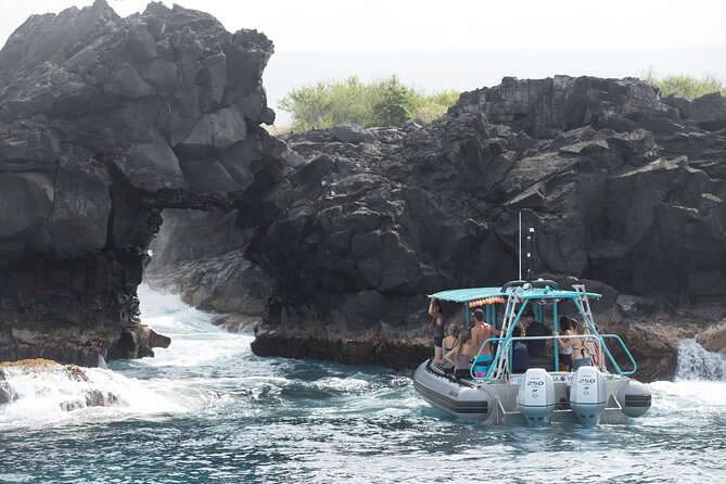 Small Group Snorkeling Expedition South Kona - Traveler Reviews and Feedback
