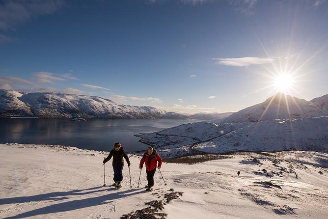 Small-Group Snowshoeing Tour From Tromso - Guest Experiences