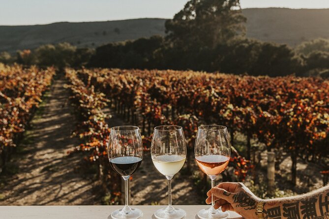 Small Group: Ultimate Napa & Sonoma Wine Tour From San Francisco - Tour Experience and Itinerary