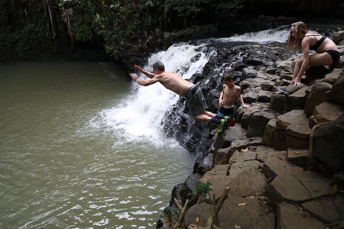 Small Group Waterfall and Rainforest Hiking Adventure on Maui - Discovering the Waterfalls and Freshwater Pools
