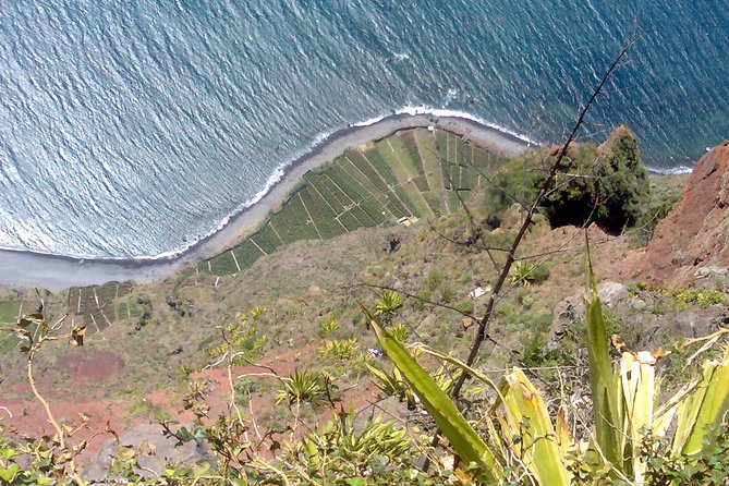 Small Group West Tour Waterfalls & Fanal Forest Tour - Traveler Reviews and Feedback