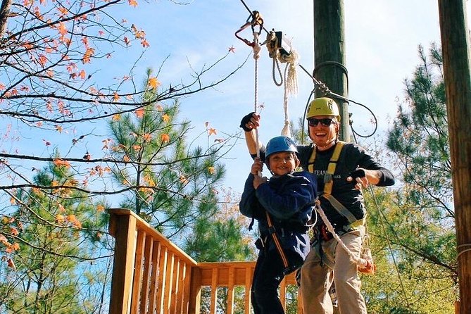 Small-Group Zipline Tour in Hot Springs - Highlights of the Zipline Tour