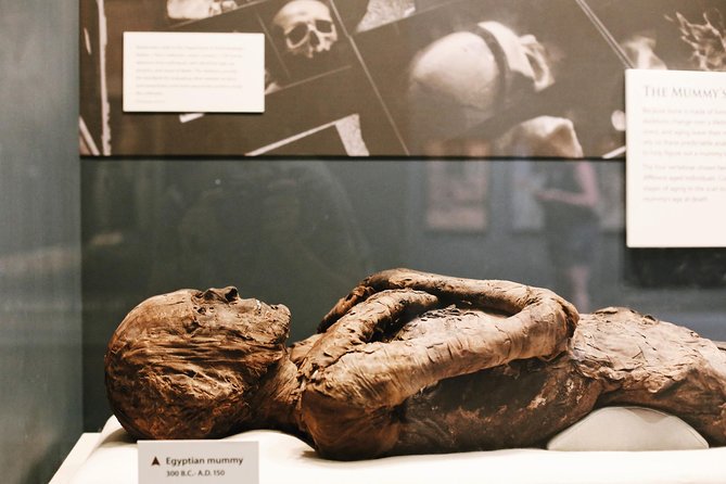 Smithsonian Museum of Natural History - Exclusive Guided Tour - Meeting and Accessibility Information