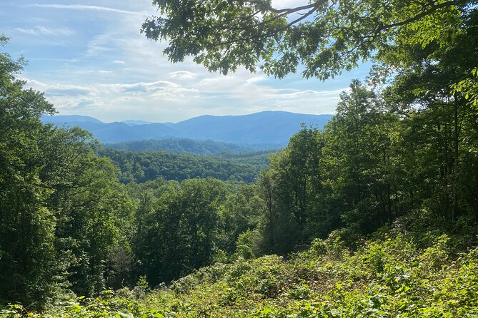 Smoky Mountains Roaring Fork Guided Sightseeing Tour by Jeep - Customer Feedback and Ratings