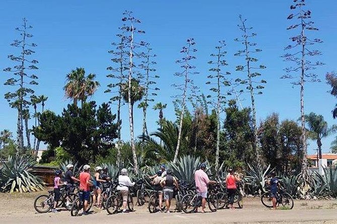 SoCal Riviera Electric Bike Tour of La Jolla and Mount Soledad - Spotting California Wildlife