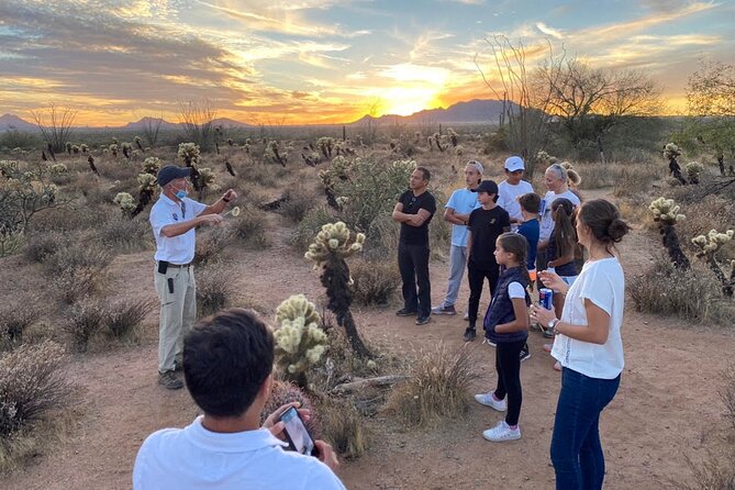 Sonoran Desert Jeep Tour at Sunset - Restrictions and Accessibility