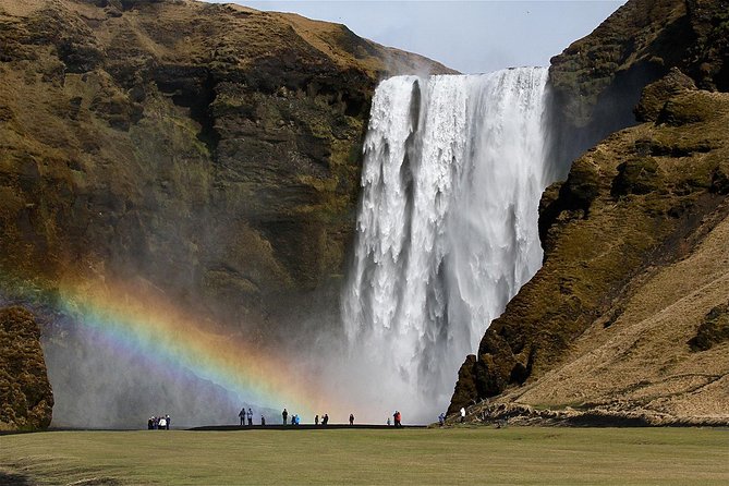 Southern Coast, Waterfalls and Black Beach Tour From Reykjavik - Customer Feedback and Experiences
