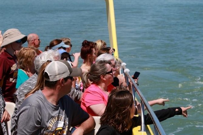 St. Pete Beach Dolphin Racer Adventure - Expectations for the Scenic Views