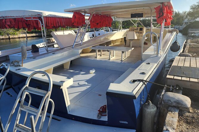 Starfish and Stingray City Fun Tour With Reef Snorkeling- 3 Stops - Transportation and Accessibility