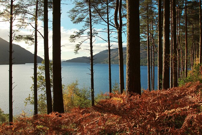 Stirling Castle, Loch Lomond and Cruise Day Tour From Glasgow - Booking Information and Special Offers