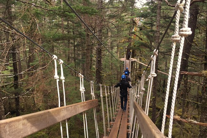 Stoney Creek Canopy Adventure - Guides and Group Size