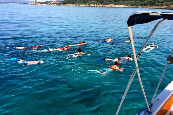 Summer Tour: Dolphin Watching and Guided Snorkeling - Dolphin Watching Experience