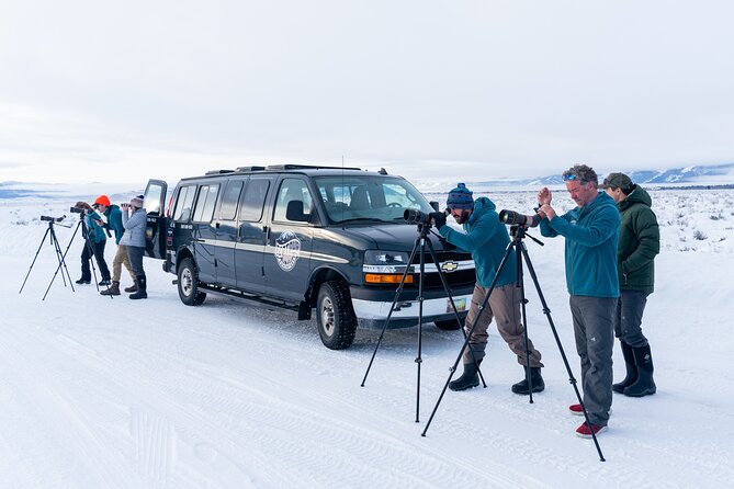 Sunrise 4-Hour Grand Teton Wildlife Adventure - Experience the Serenity of an Early Morning Tour