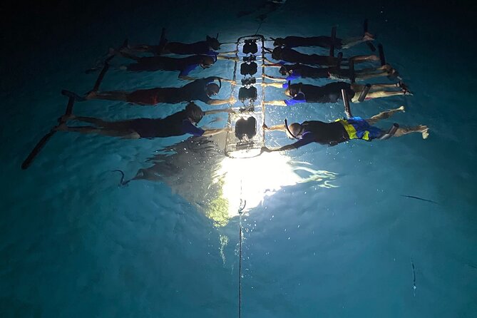 Sunset and Manta Ray Snorkel Adventure - Gear and Amenities