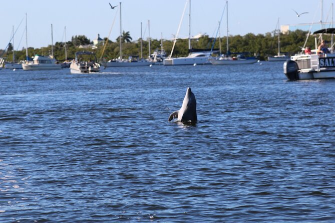 Sunset Dolphin Cruise With Sanibel Lighthouse Views - The Relaxing Onboard Experience