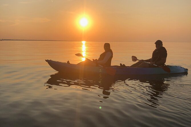 Sunset Dolphin Kayak Tours - Booking and Scheduling