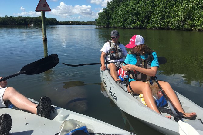 Sunset Tour Mangrove, Dolphins, Manatee #1 Rated in Cocoa Beach - Knowledgeable Guides