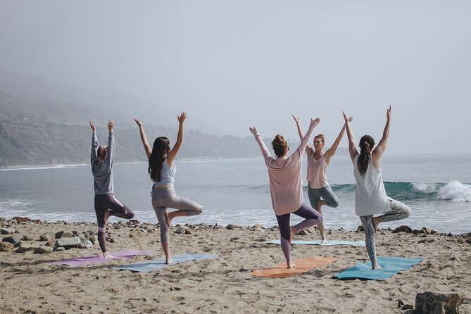 Surf Lessons for Beginners and Intermediates (6 People per Instructor) - Health and Safety Guidelines