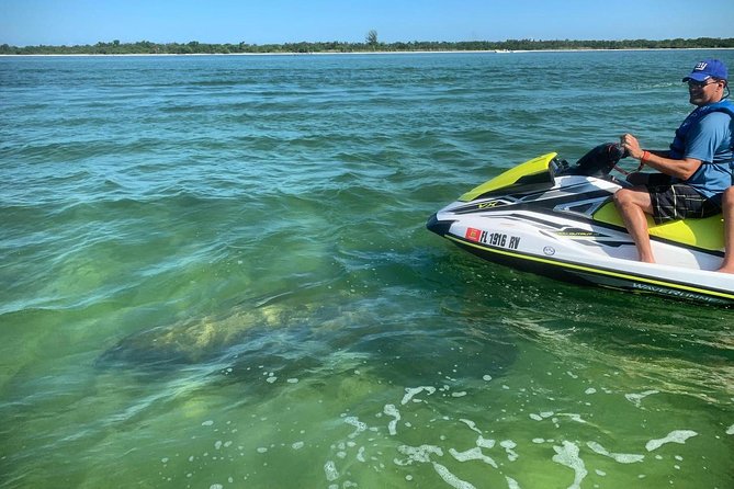 Ten Thousand Island Jet Ski Eco Tour - Marco Island - Experience and Wildlife