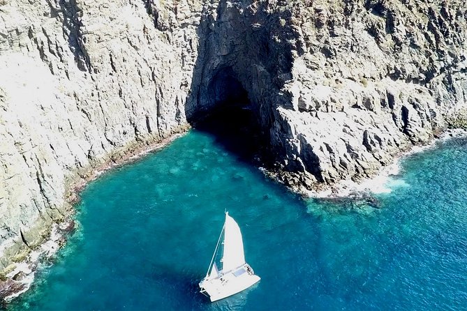 Tenerife Whales and Dolphins Watching Experience in Catamaran - Pricing and Reservation Options