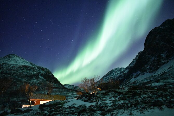 The Aurora Tour - Small Group, Northern Lights - The Thrill of Chasing the Northern Lights