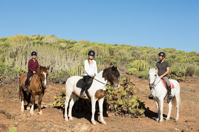 The Best Horse Riding Experience in Gran Canaria (2 Hours) - Potential for Improving the Experience