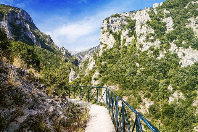 Thessaloniki: Bus Trip to Dion & Mt Olympus National Park - Transportation and Logistics