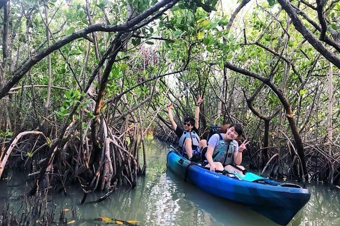 Thousand Island Mangrove Tunnel, Manatee & Dolphin Kayak Tour W/Cocoa Kayaking - Health Restrictions and Accessibility