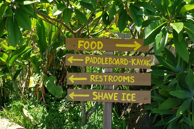 Tour of North Shore & Waimea Waterfall - Admiring Mokolii Island