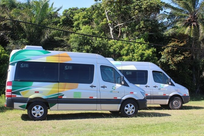 Transfer Salvador Airport / Hotel North Coast - Traveler Reviews and Ratings
