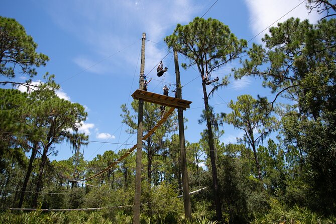 TreeUmph Adventure Course - Facility and Location Details