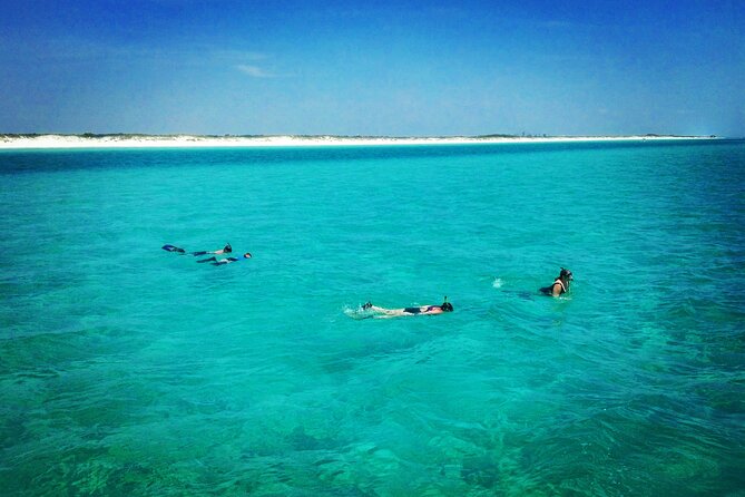 Two Hour Private Sightseeing/Dolphin Tour in Panama City Beach - Booking Information