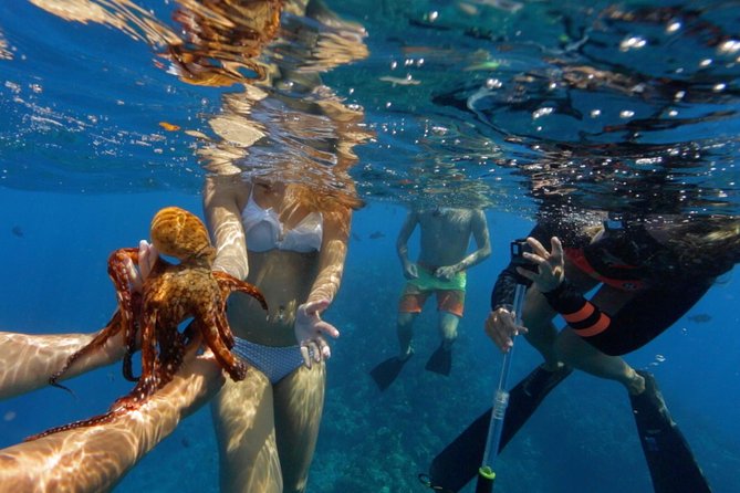 Ultimate 4 Hour Lanai Snorkel and Dolphin Encounter - Amenities and Inclusions
