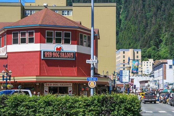 Ultimate Juneau Whale Watch Plus Mendenhall Glacier Photo Stop - Customer Feedback