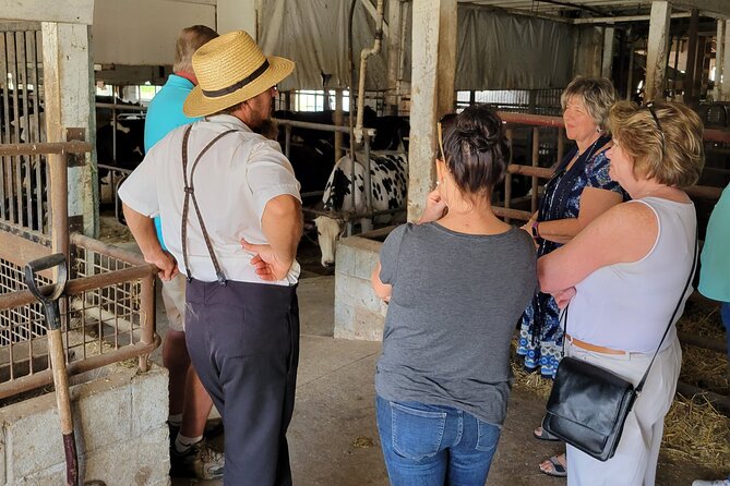Unique Amish Immersion in Lancaster - Amish Culture and Traditions