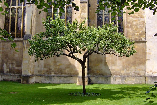 University Walking Tour - Highlights of the Tour Experience